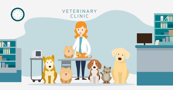 Veterinarian examining pets including cats and dogs in clinic