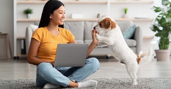 Smiling woman using laptop while playing with small dog