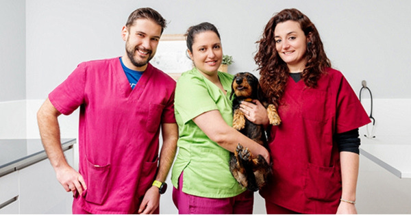 Veterinary clinic staff smiling together while holding a small dog