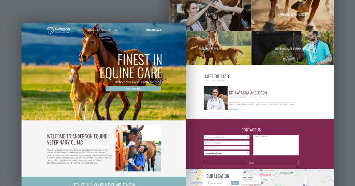 best equine veterinary website designs for your practice 