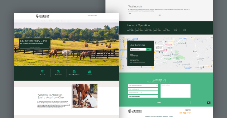 best equine vet website designs 