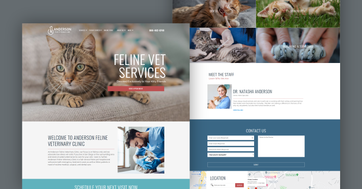 Best Feline Veterinary Website Designs 