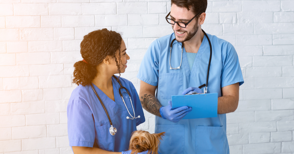 What To Do When Training Isn't Producing Results in Your Vet Team | iMatrix