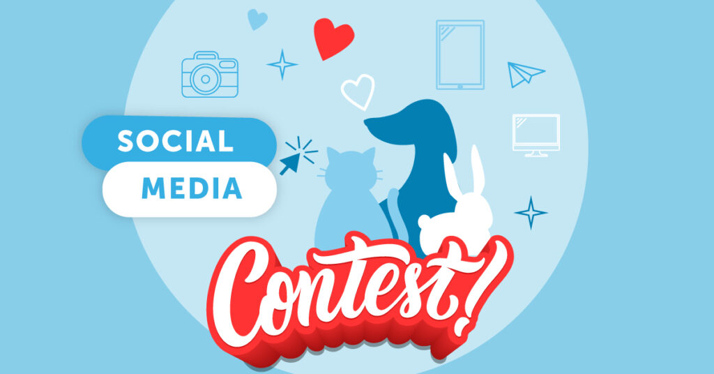 Host social media contest to increase engagement with your followers