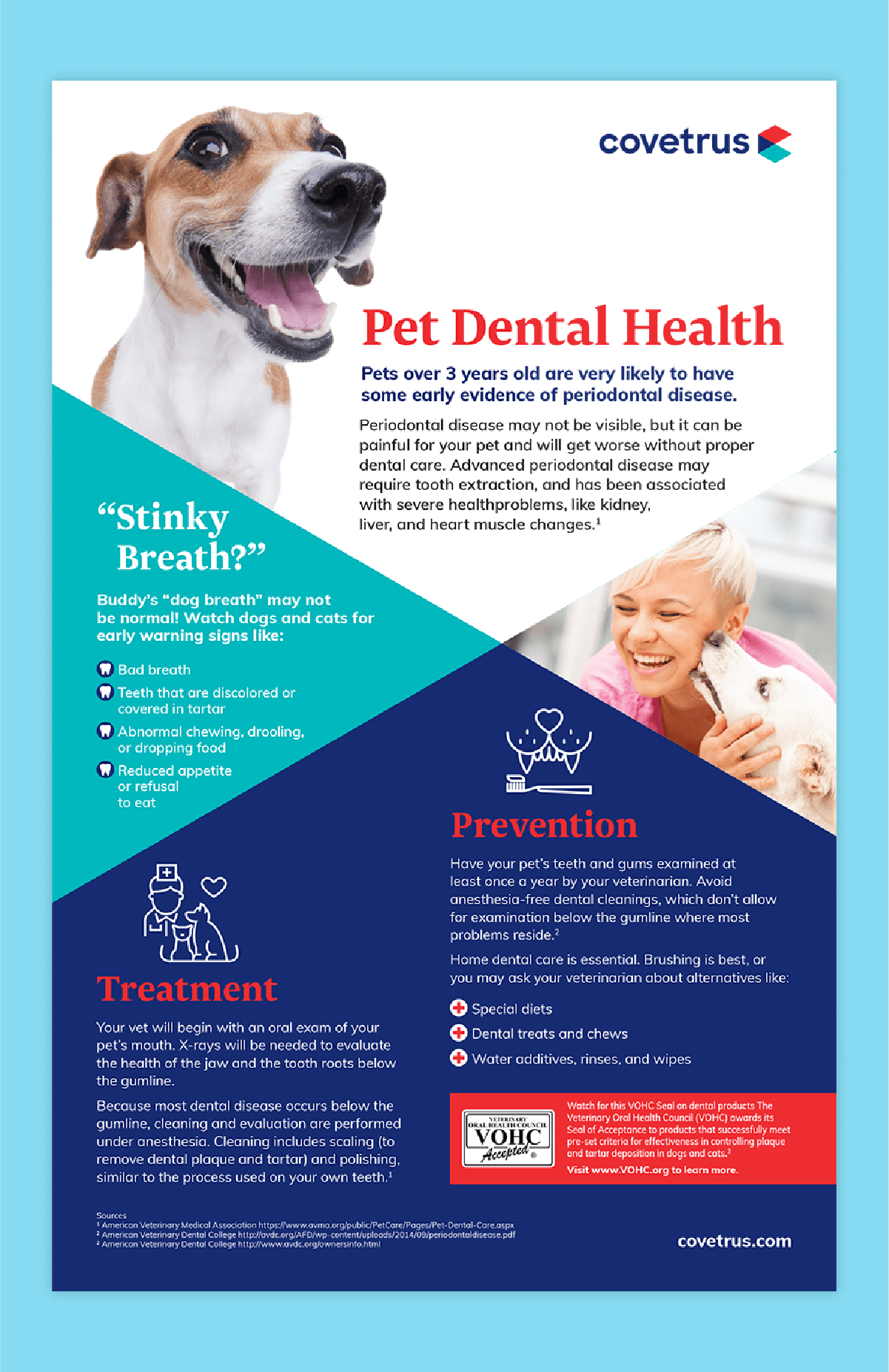 Infographic detailing dental health for pets