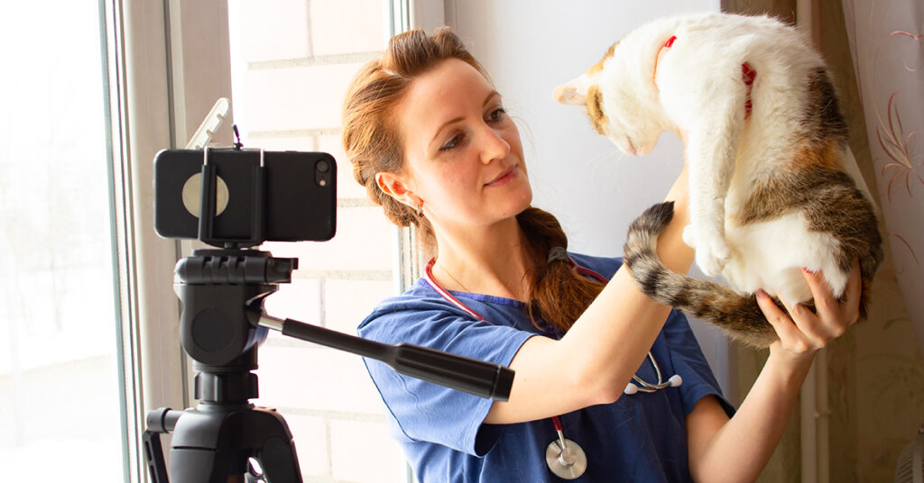 Veterinarian creating video on phone with cat. 