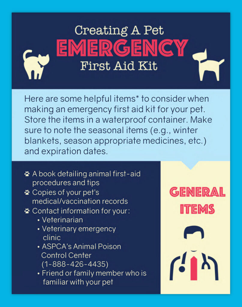 Covetrus infographic about first aid kits for pets. 