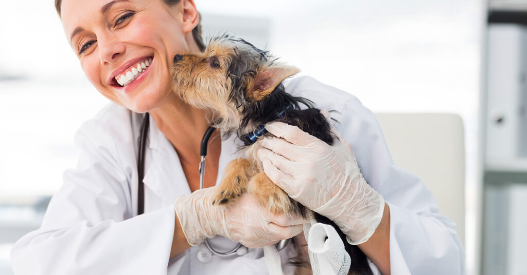 Vet smiling with puppy