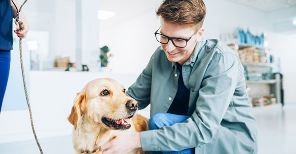 Young veterinarian treating a pet dog