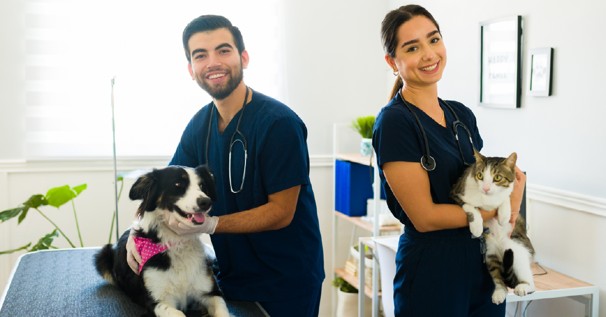 Veterinarians with their furry patients. 
