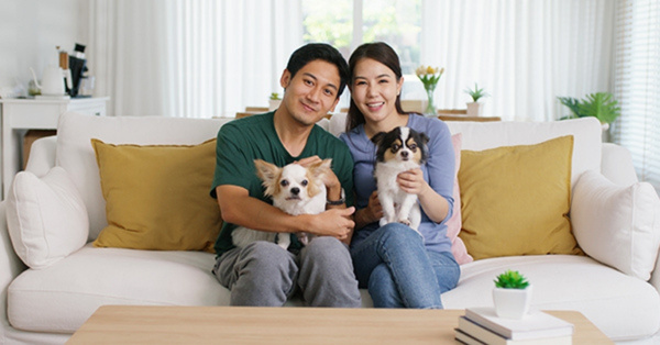 Happy couple sitting on couch holding two cute dogs.