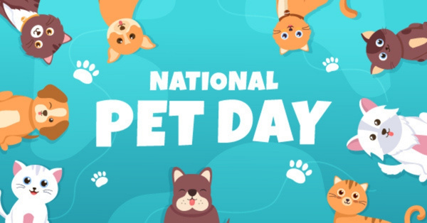Colorful banner with cats and dogs for National Pet Day.