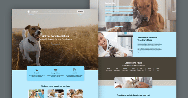 Del mar feline - screenshot of imatrix veterinary website design