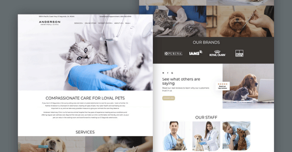 kenai - screenshot of imatrix veterinary website design