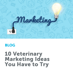 10_Veterinary_Marketing_Ideas_280x293