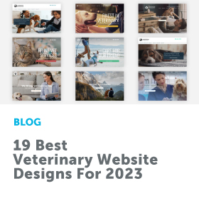 19_Best_Veterinary_Website_Designs_280x293