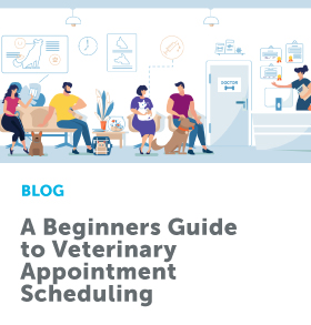 A_Beginners_Guide_to_Veterinary_Appointment_280x293