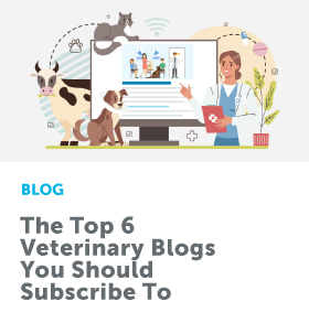 The_Top_6_Veterinary_Blogs_280x293