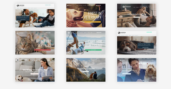 Veterinary website design templates