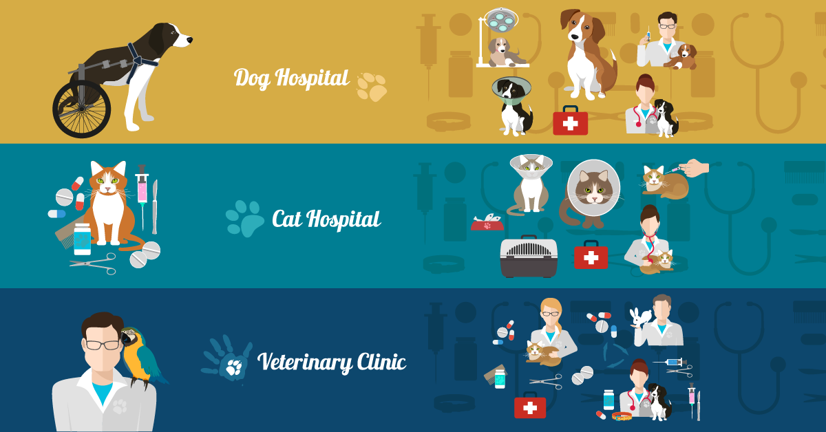 dog hospital, cat hospital, veterinary clinic