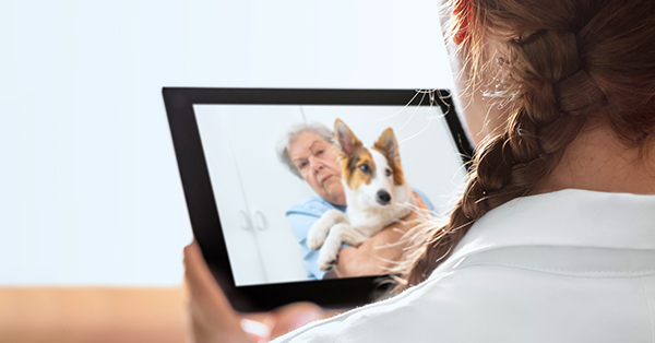 Mobile diagnostic for an veterinarian with telehealth