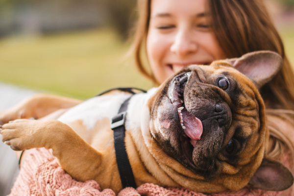 time-saving solutions for veterinarians