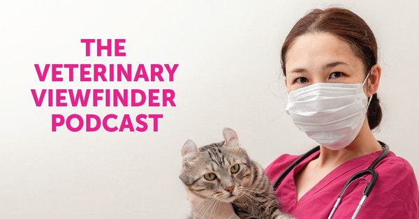 A veterinarian in a face mask holding a cat.