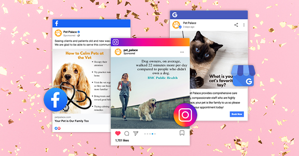 veterinary social media posts