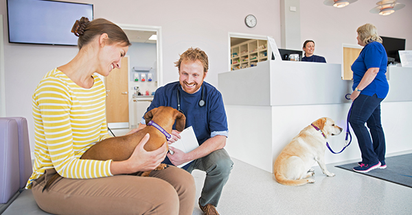 Pet dog owner in veterinary surgery waiting room