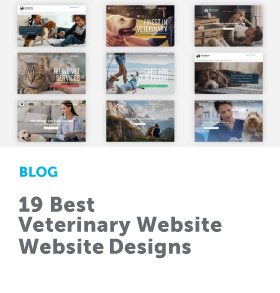 best veterinary website designs