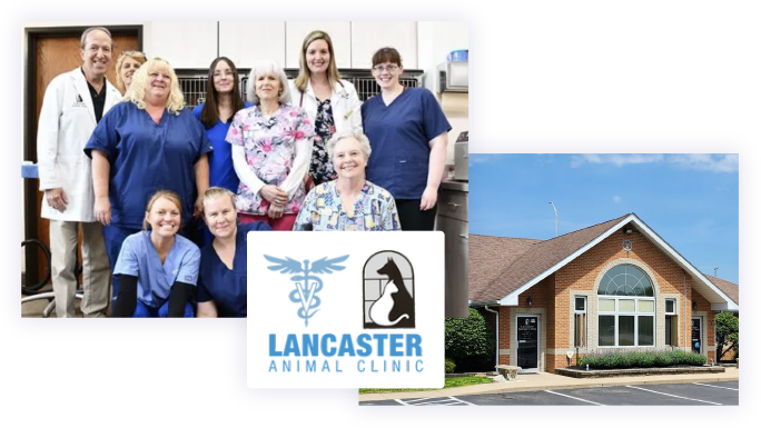 Meet Lancaster Animal Clinic