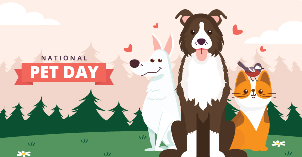 National Pet Day social media post