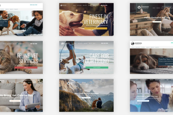 Veterinary Website Design
