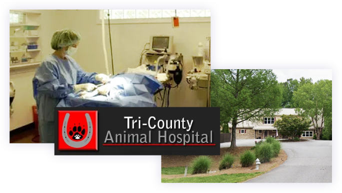 Tri-County Animal Hospital